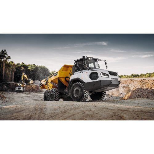  Knickgelenkte Muldenkipper Liebherr TA230 Litronic 12466276